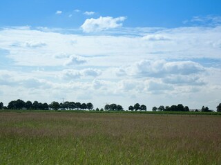 Vakantiehuis Lemele Omgeving 27