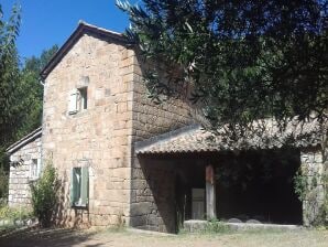 Ferienhaus Charmantes Steinhaus mit Gemeinschaftspool, Chambonas - Payzac (Ardèche) - image1