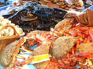 Maison de vacances Plozévet Environnement 15