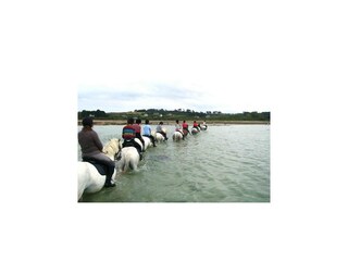 Maison de vacances Trégastel  24