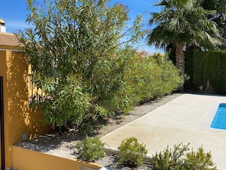 Privacy in the huge garden with sun and shade.