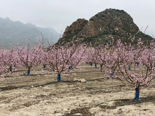 Beautiful area for your stay all year around.