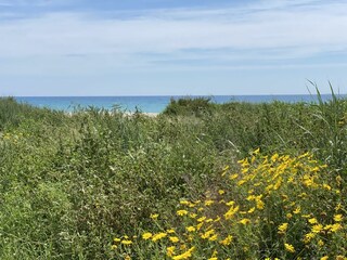 Genießen Sie das Meer, das Grün und die schönste Kultur