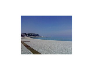 Holiday house Saint-Pierre-des-Jonquieres Environment 19