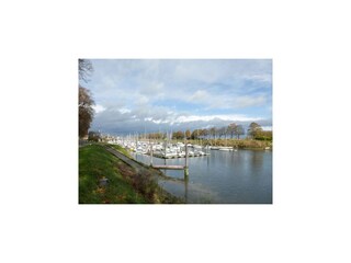 Holiday house Saint-Pierre-des-Jonquieres Environment 21