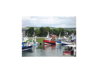 Holiday house Saint-Pierre-des-Jonquieres Environment 24