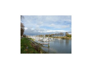 Vakantiehuis Saint-Pierre-des-Jonquieres Omgeving 24