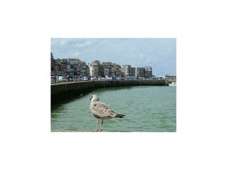 Holiday house Saint-Pierre-des-Jonquieres Environment 21