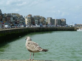 Casa per le vacanze Saint-Pierre-des-Jonquieres Ambiente 24