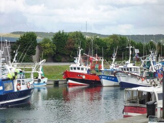 Casa de vacaciones Saint-Pierre-des-Jonquieres Entorno 24