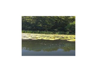 Vakantiehuis Parchowo Omgeving 25