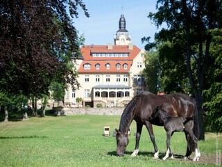 Vakantiehuis Weberin Omgeving 14