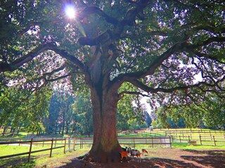 Casa per le vacanze Weberin Ambiente 18
