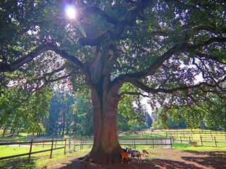 Casa de vacaciones Weberin Grabación al aire libre 7