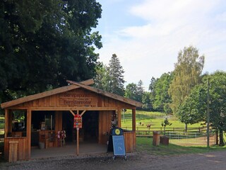 Vakantiehuis Weberin Buitenaudio-opname 12