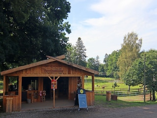 Vakantiehuis Weberin Omgeving 22