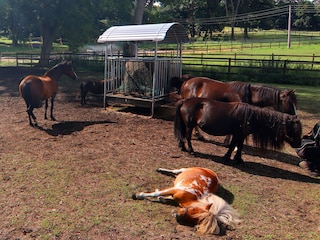 Ferienhaus Weberin Umgebung 18