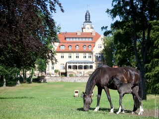 Ferienhaus Weberin Umgebung 18