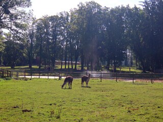 Vakantiehuis Weberin Omgeving 24