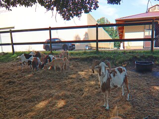 Ferienhaus Weberin Umgebung 24