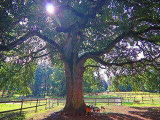 Casa de vacaciones Weberin Entorno 21