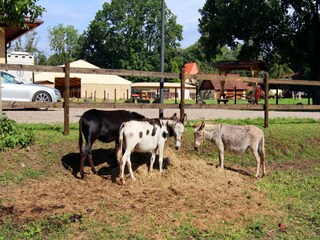 Ferienhaus Weberin Umgebung 24