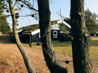 Vakantiehuis Saltum  36