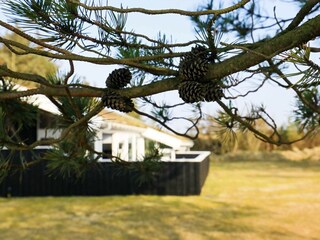 Vakantiehuis Saltum  27