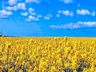 Maison de vacances Jægerspris  18