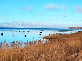 Vakantiehuis Jægerspris  22