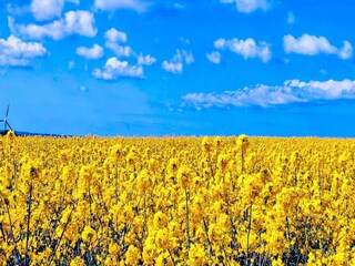 Casa per le vacanze Jægerspris  32