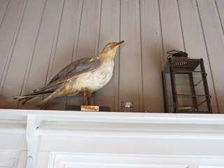 Vakantiehuis Värmdö  31