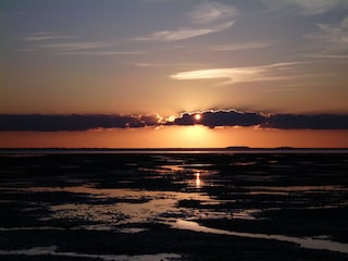 mudflat
