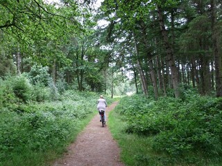 A bicycle tour in the Green