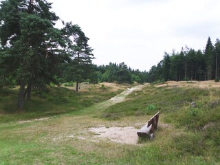 Forest way