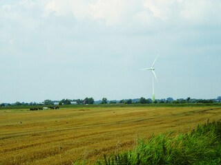 North-Frisian scenery