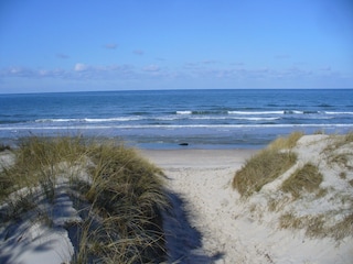 Umgebung