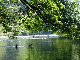 Apartment Monteux Umgebung 26