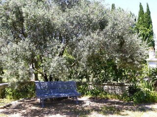 Appartamento Monteux Registrazione all'aperto 9