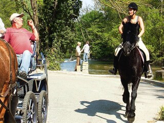 Apartamento Monteux Entorno 36