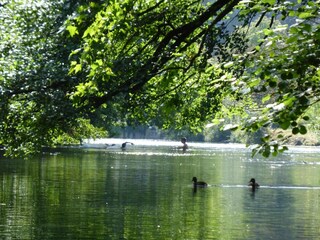 Appartement Monteux Environnement 32