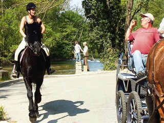 Appartement Monteux Environnement 34