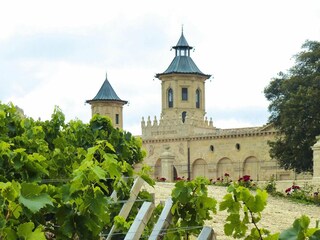 Ferienhaus Grayan-et-l'Hôpital Umgebung 20