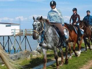 Maison de vacances Grayan-et-l'Hôpital Environnement 19