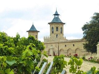 Ferienhaus Grayan-et-l'Hôpital Umgebung 20