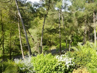 Vakantiehuis Erquy Buitenaudio-opname 2