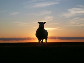 Atemberaubende Sonnenuntergänge