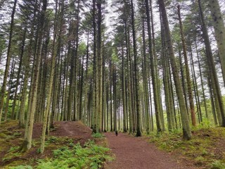 Vakantiehuis Pandrup  11