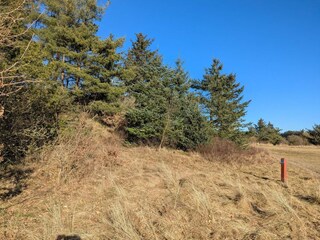 Vakantiehuis Pandrup  24