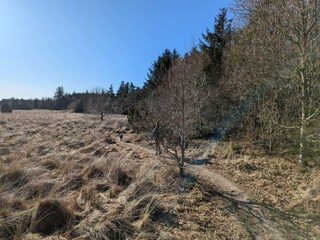 Casa per le vacanze Pandrup  8